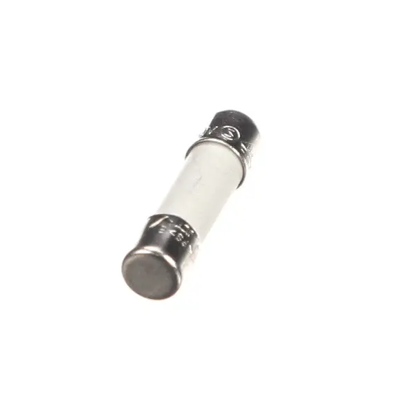 FUSE 5A HT CERAMIC SLW BLW Replacement 2195313 for Multiplex