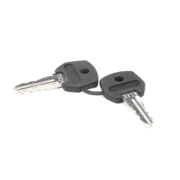Keys for 2 Pos Switch Replacement 719102-KY for Stoelting