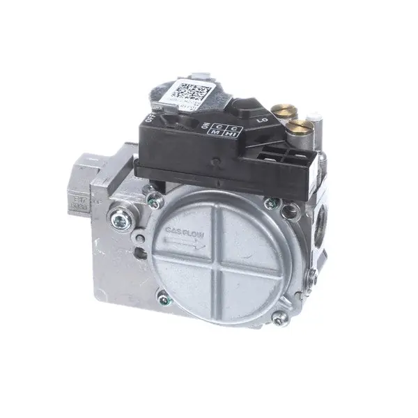 VALVE-GAS Replacement 8088196 for Mavrik