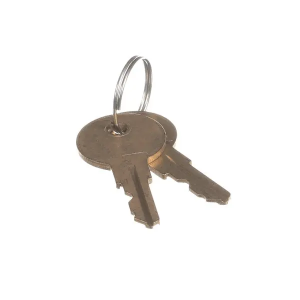 Key for Flush Mount Lock Replacement 40-12598-0001 for Anthony