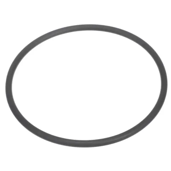 O-Ring DSP Power Replacement 8092561 for Mavrik