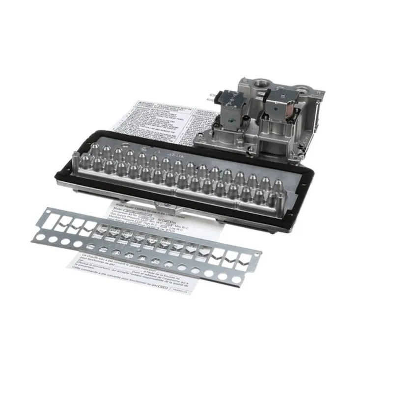 Rinnai 104000173 Kit, Gas Conversion(Lpg To Ng) R9