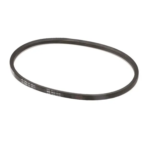 Belt Motor Beater V750 Replacement 3.3.03.03.008 for Spaceman