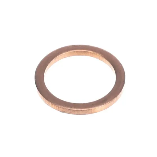 Valve Gasket Brass ESP/CS Replacement A180004-00 for Ugolini USA