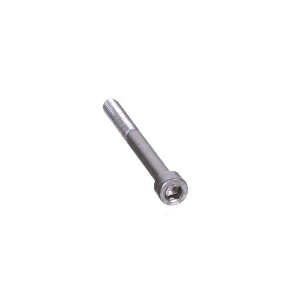 Screw M-6 x 60 Replacement 000000057743510000 for Bizerba
