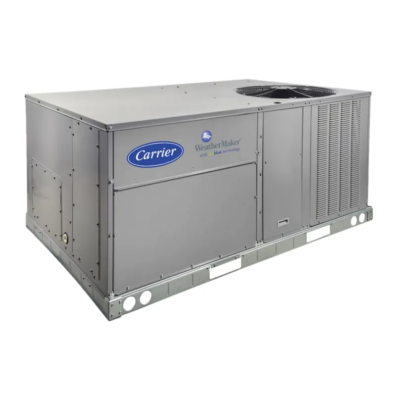 CARRIER 48TM500210 Access Panel