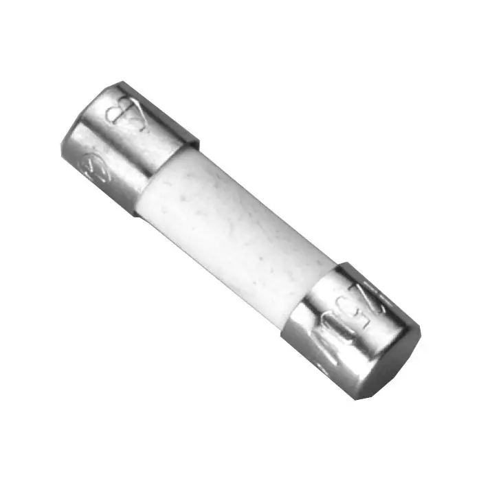 BOSCH 19045213420 Fusing Element T2.5 Amp