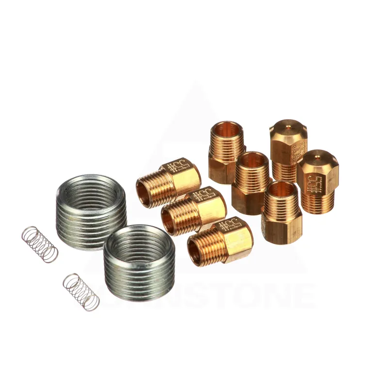 BOSCH 8733953504 Conversion Kit NG to LP