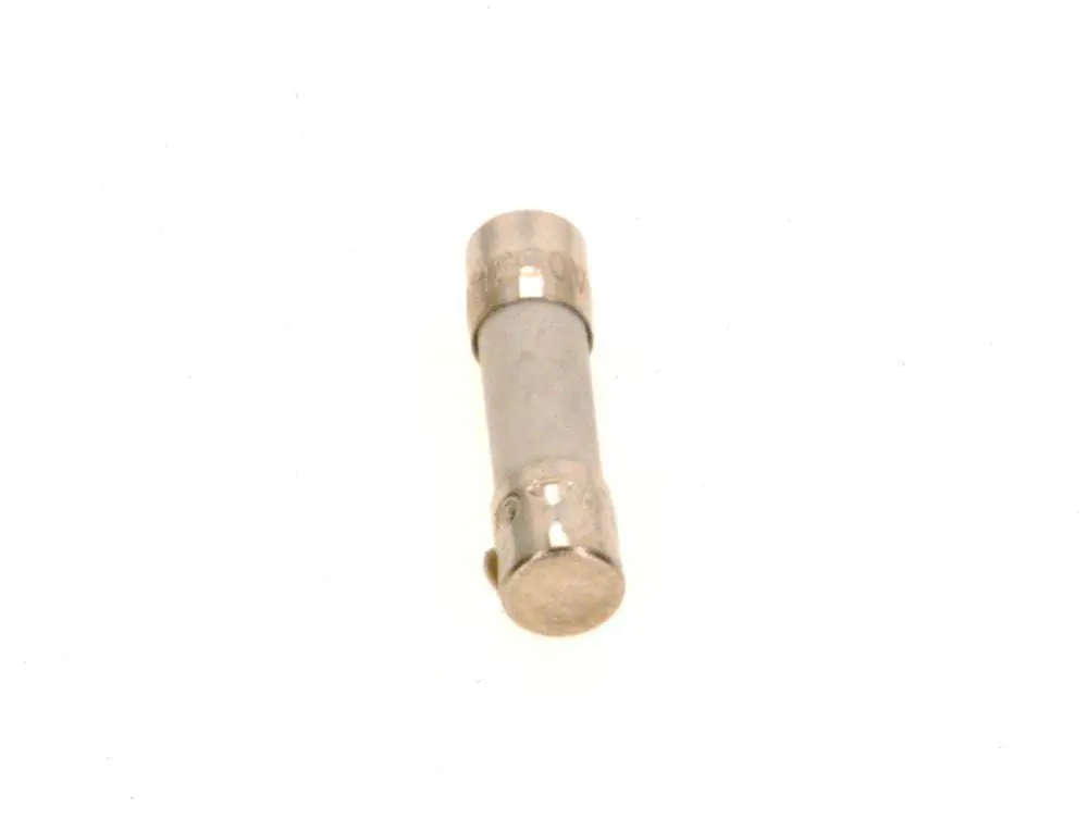 BOSCH 67900738 IEC 127-2/5T 10A 5x20 Fuse (10 Pack)