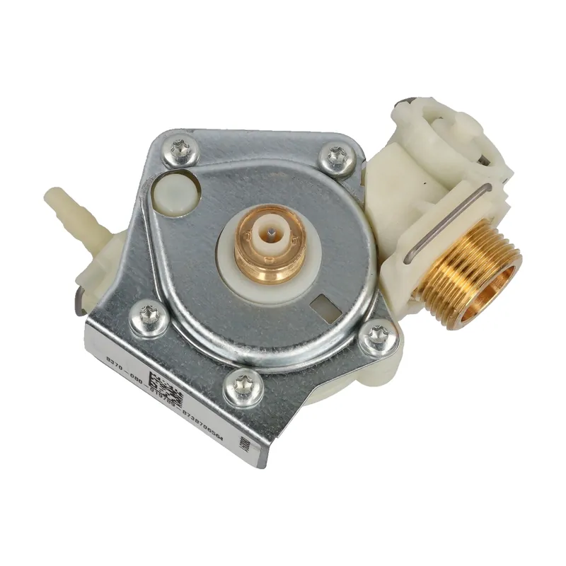 BOSCH 8738710119 Water Valve Replacement