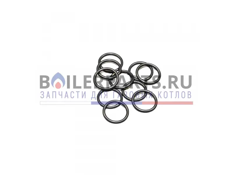 Bosch 87387024590 O-Ring (10X)