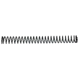 Carrier 301248-101 Regulator Spring Kit