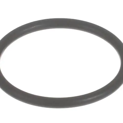 Everpure EV303700 O-ring Qc Medium