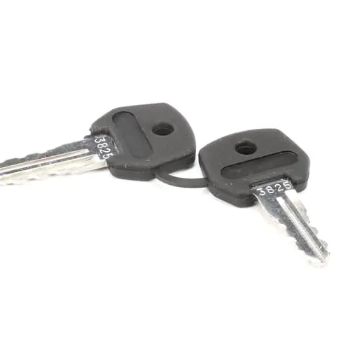 Stoelting 719102-KY Keys For 2 Pos Switch