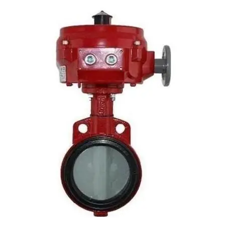 YORK 022-13035-000 SSV 5 inch Valve and Actuator Assembly