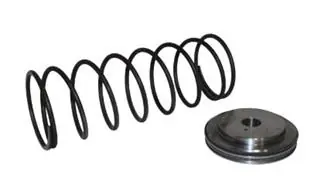 CARRIER 06TT660057 Slide Valve Piston Kit