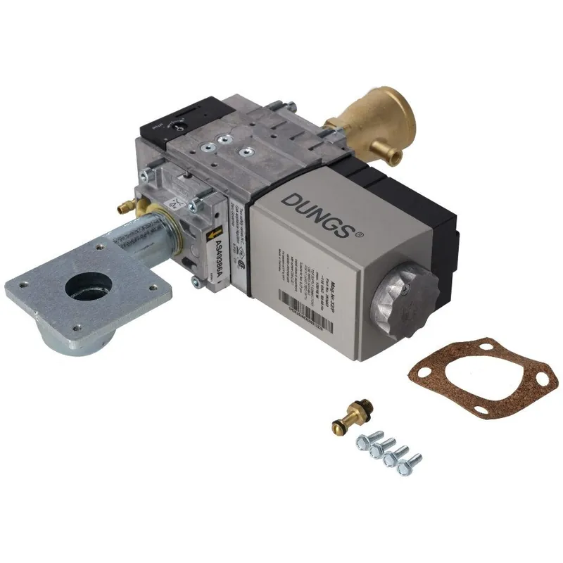 Rheem SP21221A Gas Valve Assembly - NG