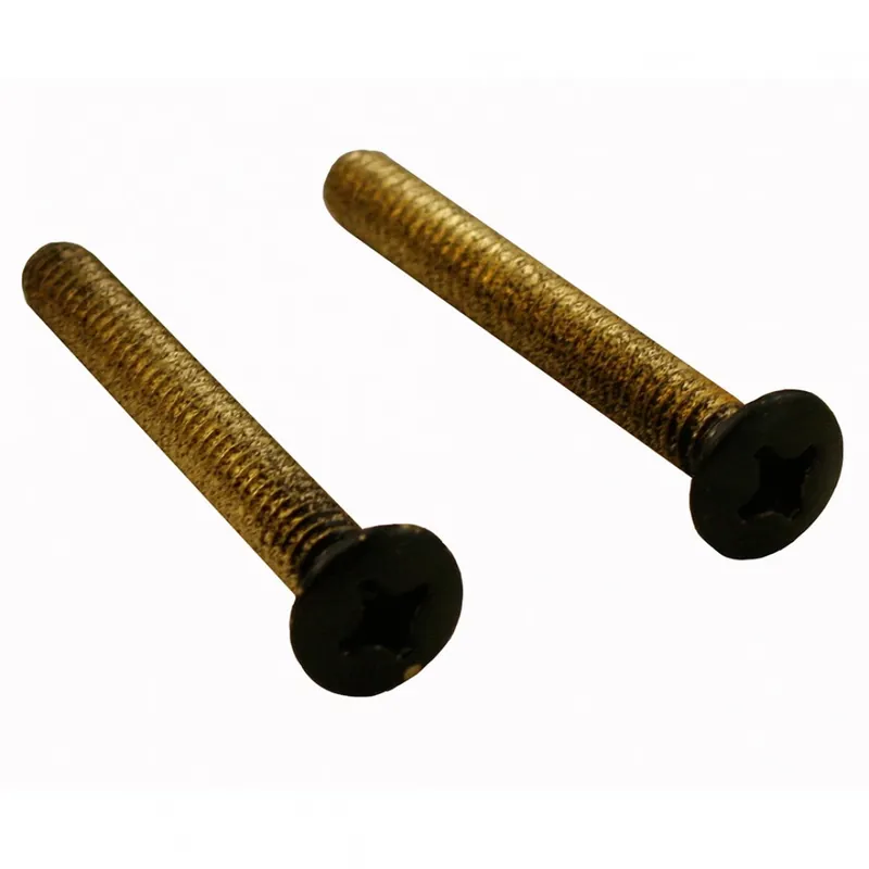 JONES STEPHENS CORP T0521BL Black Overflow Plate Screws EA