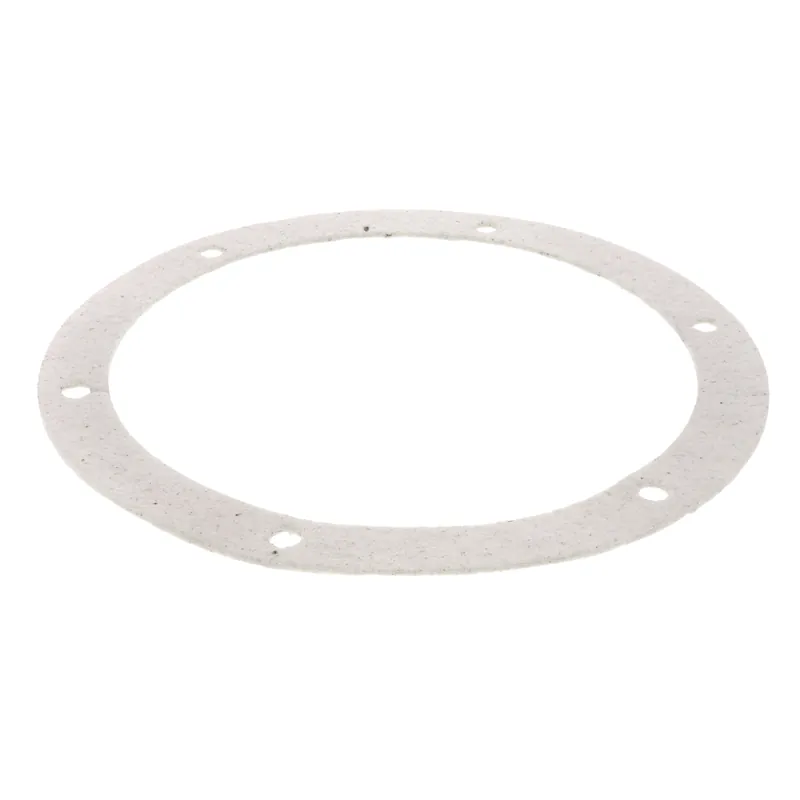 AO Smith 100110893 8 Gasket Replacement MPN 9006095205