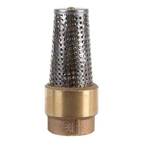 CAMPBELL FV-5TLF Foot Valve 1-1/4 In.