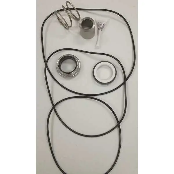 XYLEM RPK3656S Parts Seal Kit