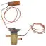 Unitary Products Group S1-02541346000 Heater, Crankcase