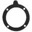 LOCHINVAR 100208101 BLOWER GASKET