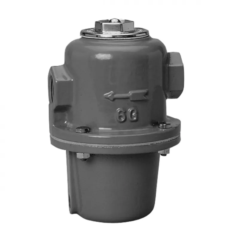 Watts 0036109 3/4 STM-F&TTRP-6MG-50 Replacement MPN