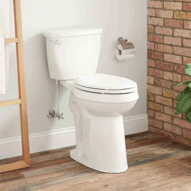 Signature Hardware 462383 Elongated Two Piece Toilet in White
