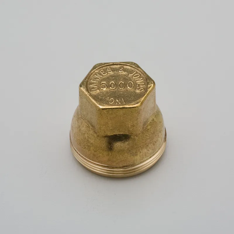 Barnes & Jones 5000C Brass Cover for Cage Units on Spirax-Sarco Traps