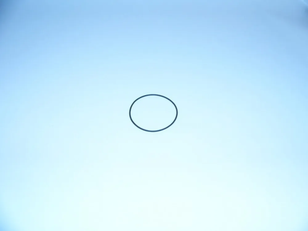 Bell & Gossett J94129 O-Ring