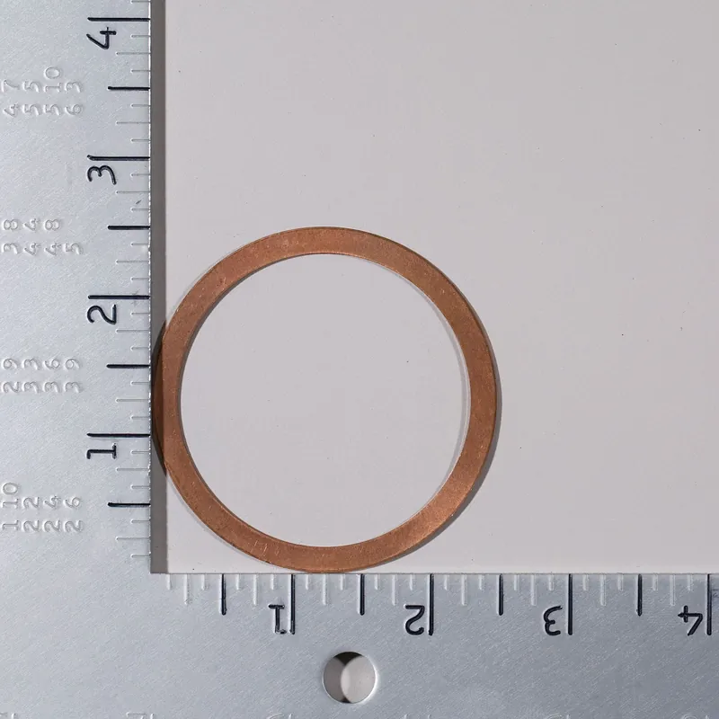Barnes & Jones 1330-109 Cover Gasket for Cage Units on Barnes & Jones Traps