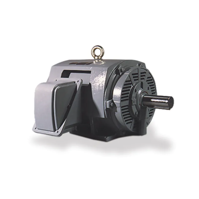TECO DHP1254 General Purpose Motor 125 HP Three Phase