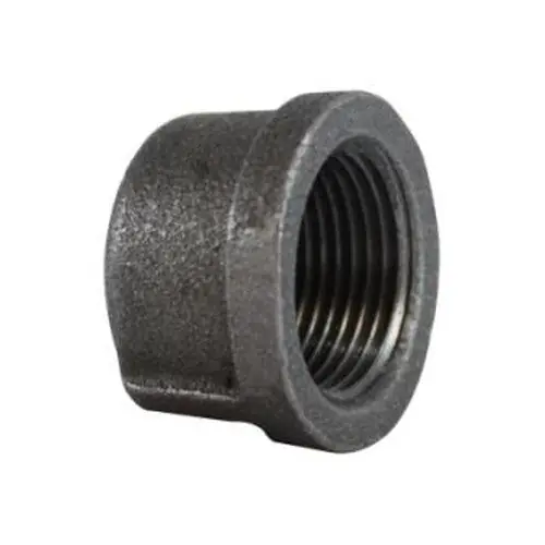 Midland Industries 65478 Cap 2 in Female NPT