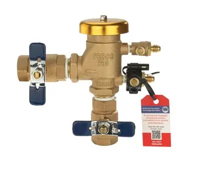 Febco T765DBV 765-QT-FZ PVB 3/4 In. Bronze Pressure Vacuum Breaker Backflow Preventer with Freeze Sensor
