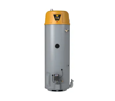 AO Smith BTX8002L010000120 NG COMM WHTR 120