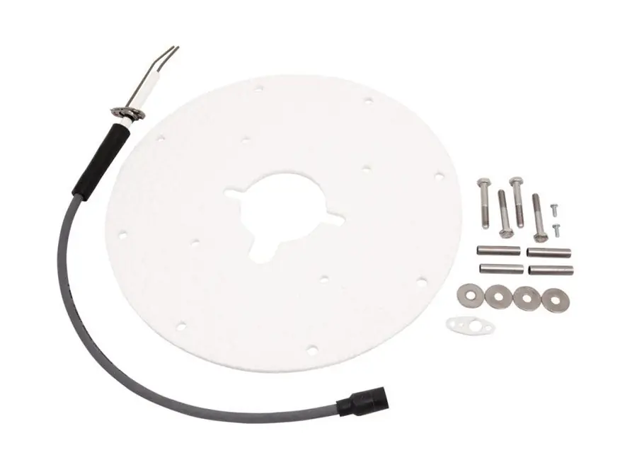 AO Smith 100301928 Kit, Spark Igniter Assembly, Straight, Vertex-100