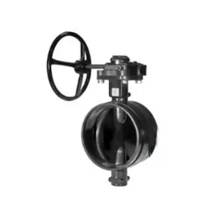 GRUVLOK 7005011910 6 in 7700 Butterfly Valve With Gear Operator & E-Gasket