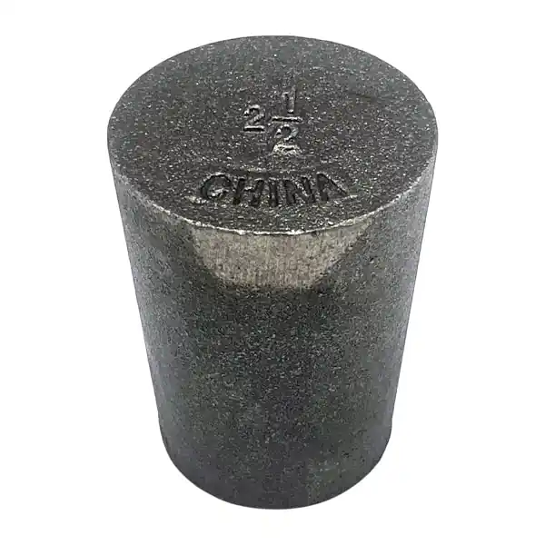 WAL-RICH 1708006 Cast Iron Boiler Tube Plug 2 1/2