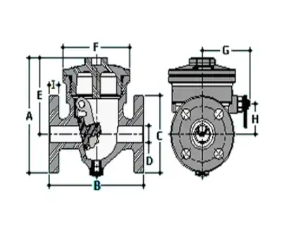 SPEARS 4423-020 2 in Flanged x Flanged PVC Swing Check Valve