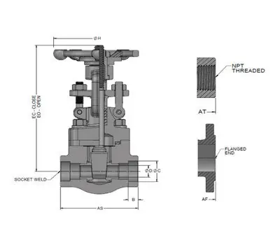 BERIC VALVE 501T78A08 1-1/2 in. NPT x NPT 800 PSI Forged Steel Standard Port Gate Valve