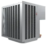 Ruud WP14AY42AJ2NA Endeavor Line Choice Series Heat Pump 42000 Btu/h