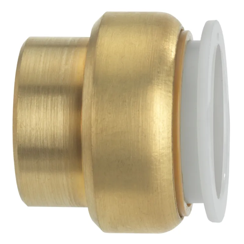 Watts LF4745-14 Quick Connect End Stop Fittings 3/4 inches